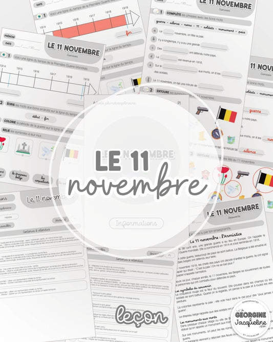 Le 11 novembre / l'armistice - dossier de découverte et exercices