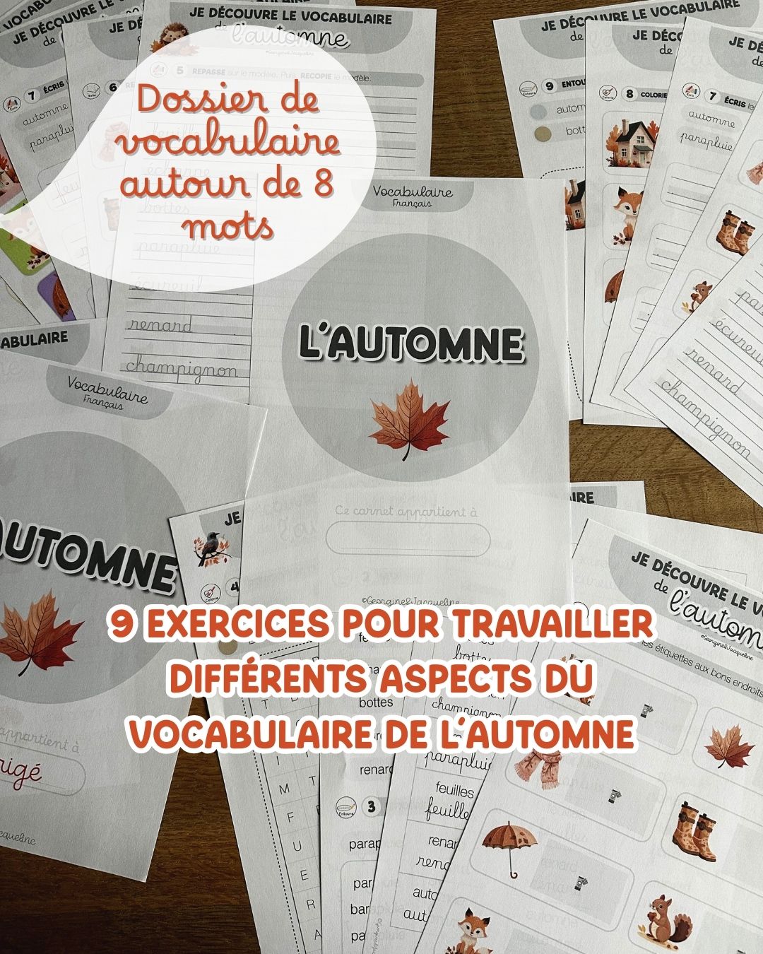 Le vocabulaire de l'automne – Dossier d'exercices