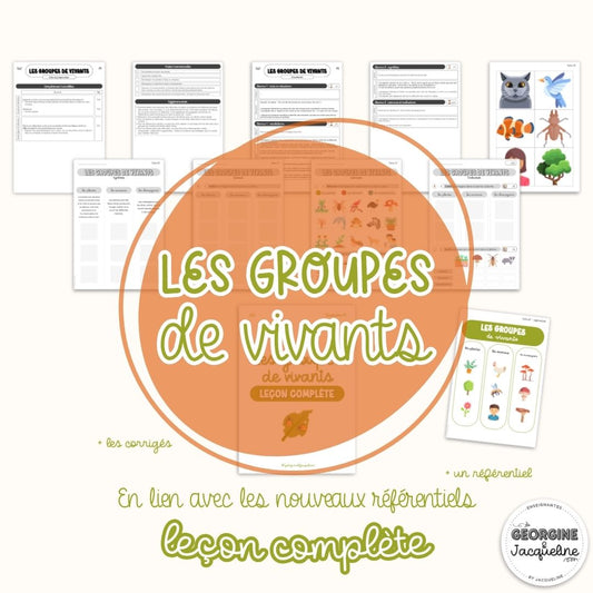 Les groupes de vivants – Leçon complète