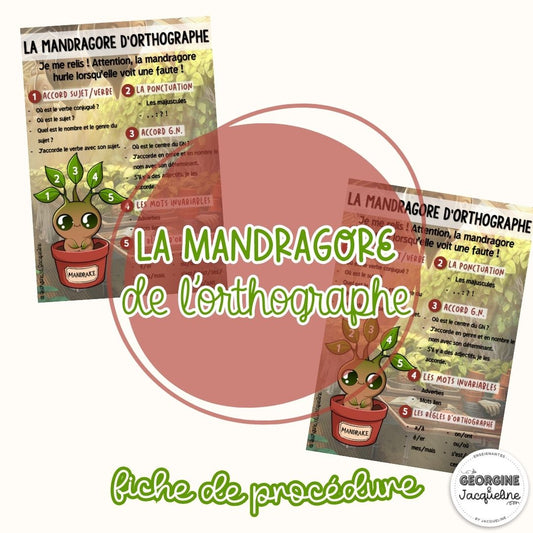 La mandragore d’orthographe – Fiche de procédure